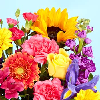 Bold & Bright Flowers