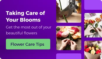 Flower Care