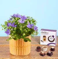 Tap to view Campanula Gift Set